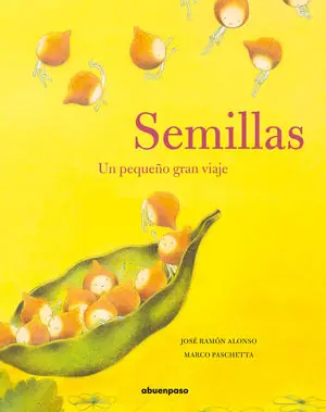 Solo Hoy SEMILLAS