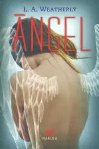 Mejor Precio Angel