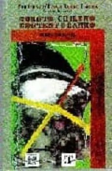 CUENTO CHILENO CONTEMPORANEO BREVE ANTOLOGIA Económico