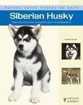 Siberian Husky Compra Ahora