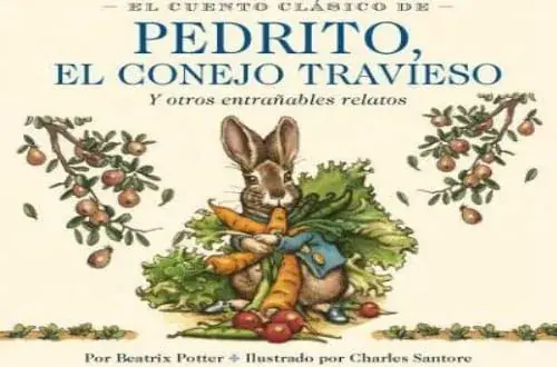 Stock Limitado PEDRITO, EL CONEJO TRAVIESO PEDRITO, EL CONEJO TRAVIESO