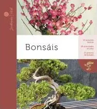 BONSAIS BONSAIS Solo Por Tiempo Limitado