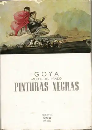 Ocasión Especial PINTURAS NEGRAS (SEÑALES DE USO)
