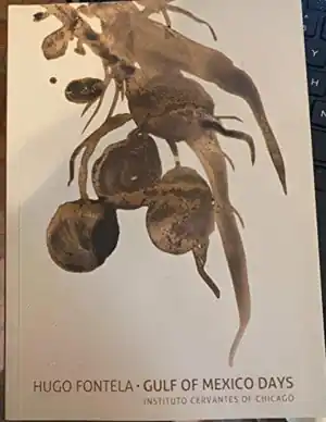 Ordenar Ahora Mismo HUGO FONTELA (TEXTOS EN INGLÉS)