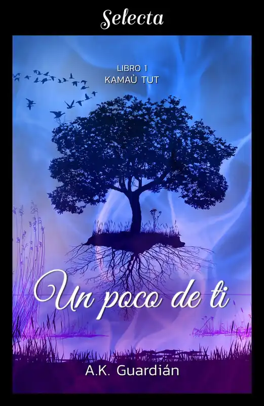 Ocasión Especial Un poco de ti (Kamaù tut 1)