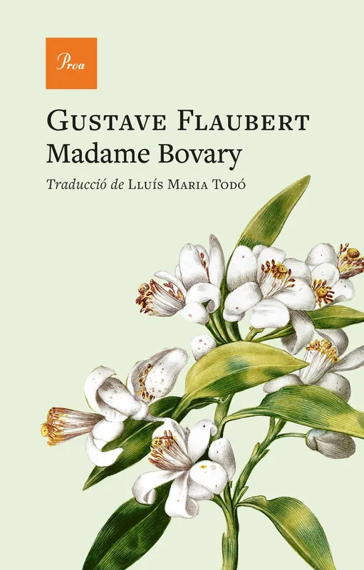 Oferta Especial Madame Bovary