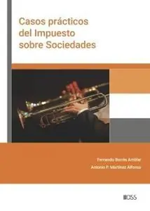 Casos prácticos del Impuesto sobre Sociedades Envío Inmediato