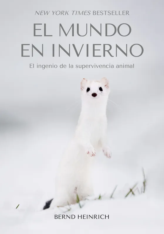Ordenar Ahora Mismo El Mundo en invierno